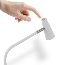 Alaura Iron Desk Lamp